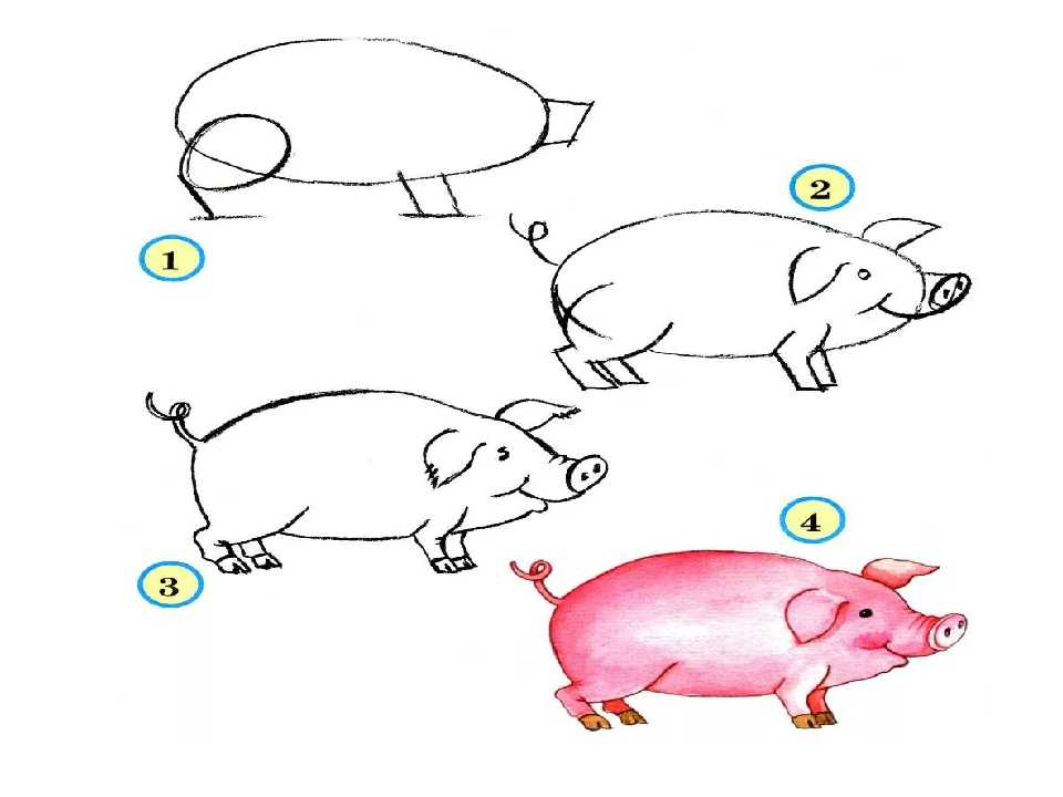 Как нарисовать свинью карандашом поэтапно