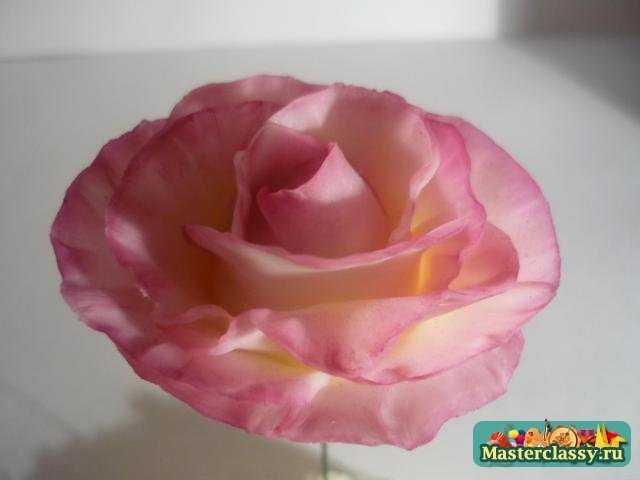 Как можно использовать розу. Розы из холодного фарфора. Чашелистик розы из холодного фарфора.
