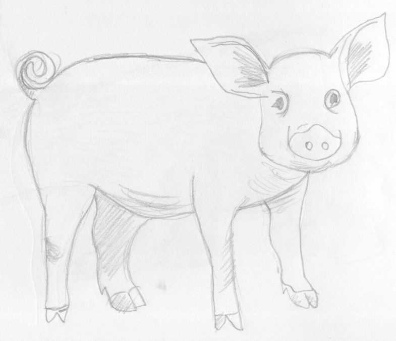 Картинки для срисовки свиньи и поросят на новый 2021 год для бесплатного скачивания