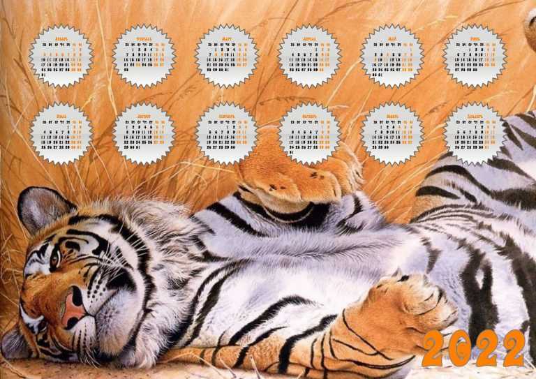 Тигр амигуруми крючком: схемы и описание символа 2022 года