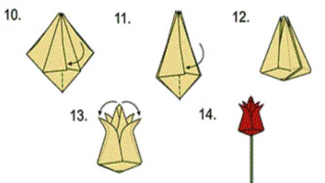 Делаем тюльпаны из бумаги