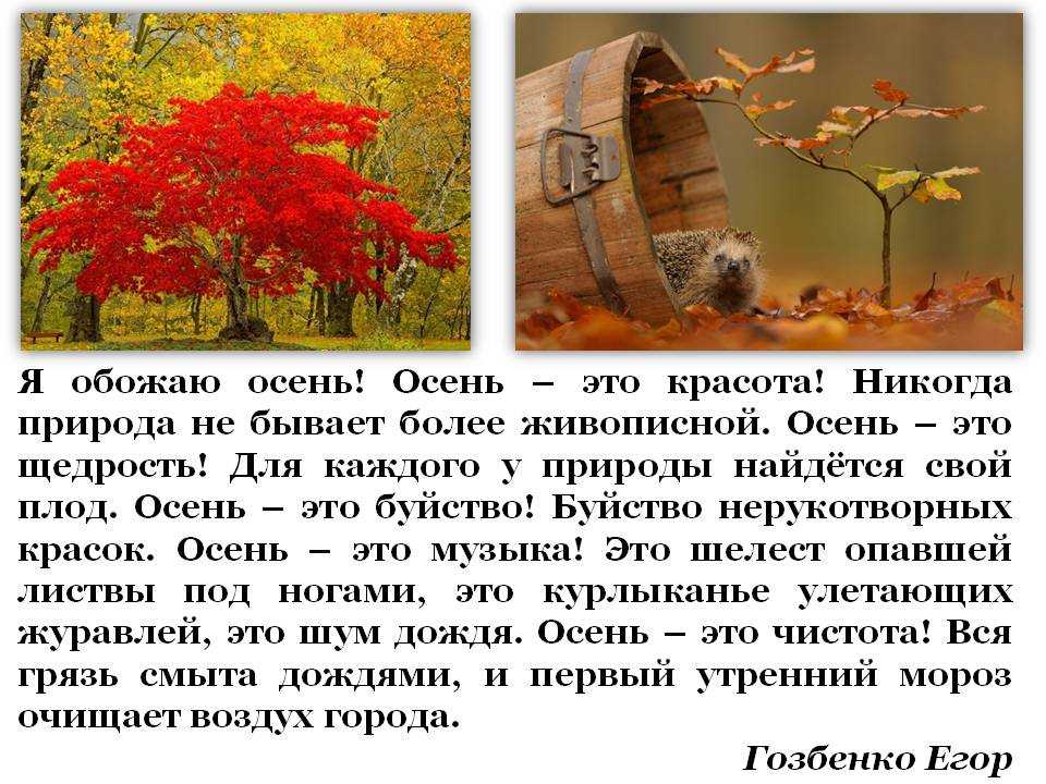 Сочинение миниатюра на тему золотая осень: описание осенней природы в художественном стиле | tvercult.ru