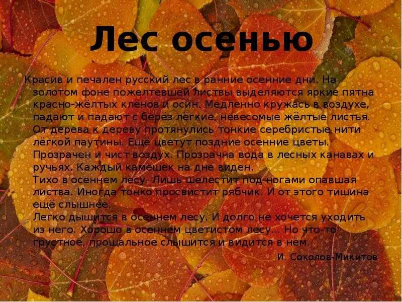 Сочинение миниатюра на тему золотая осень: описание осенней природы в художественном стиле