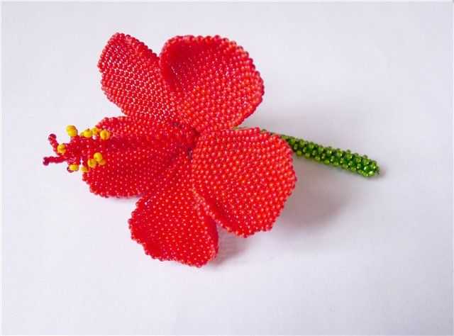 Урок по плетению цветка гибискуса из бисера, с фото и видео