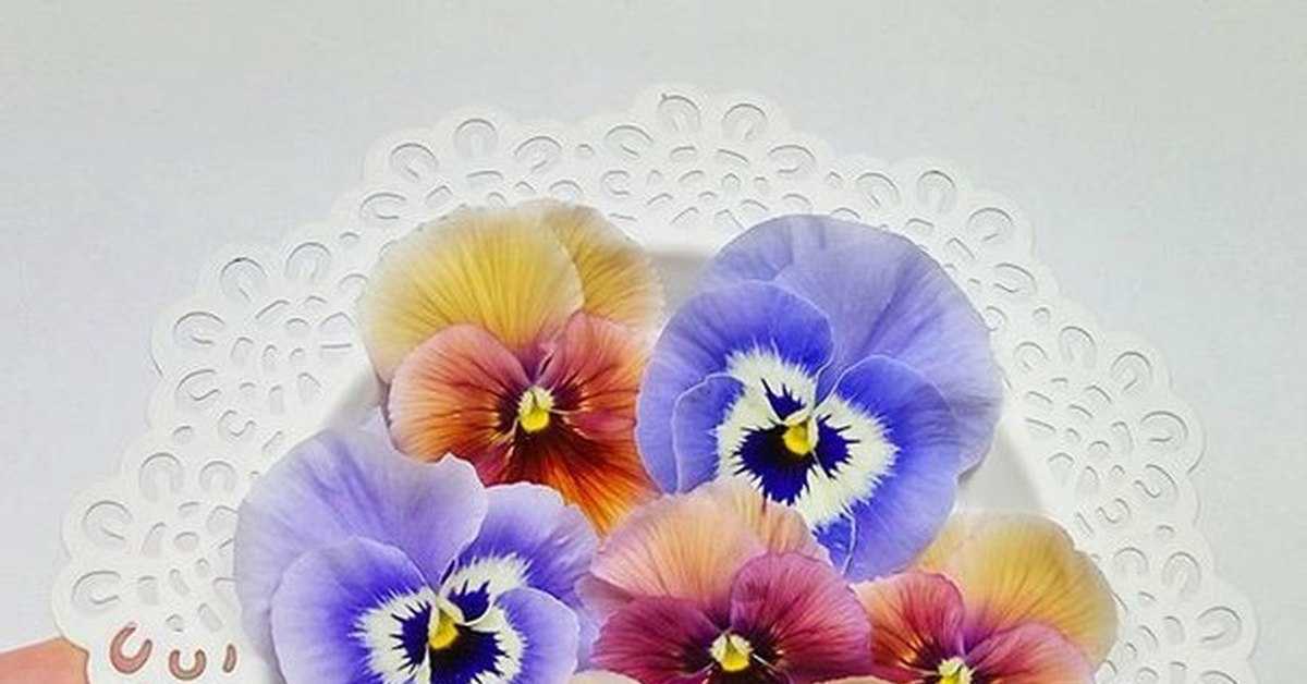 2021 ᐈ 🔥 (+137 фото) цветы из гофрированной бумаги своими руками для начинающих 137 фото пошагово