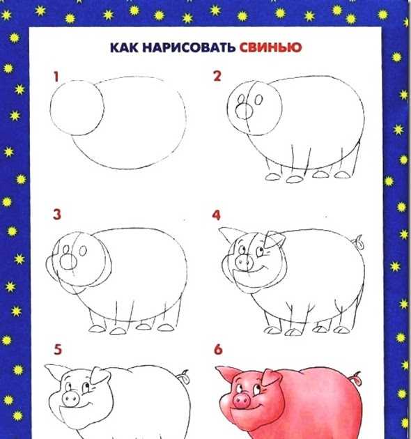 Как нарисовать свинью поэтапно карандашом: легкие способы рисования свиньи (мастер-класс для начинающих)