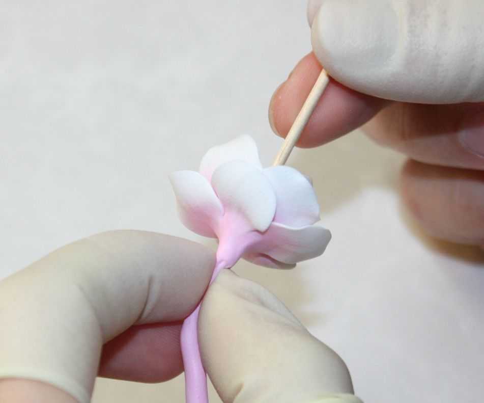 Цветы из полимерной глины (153 фото): мастер-классы для начинающих по лепке цветов