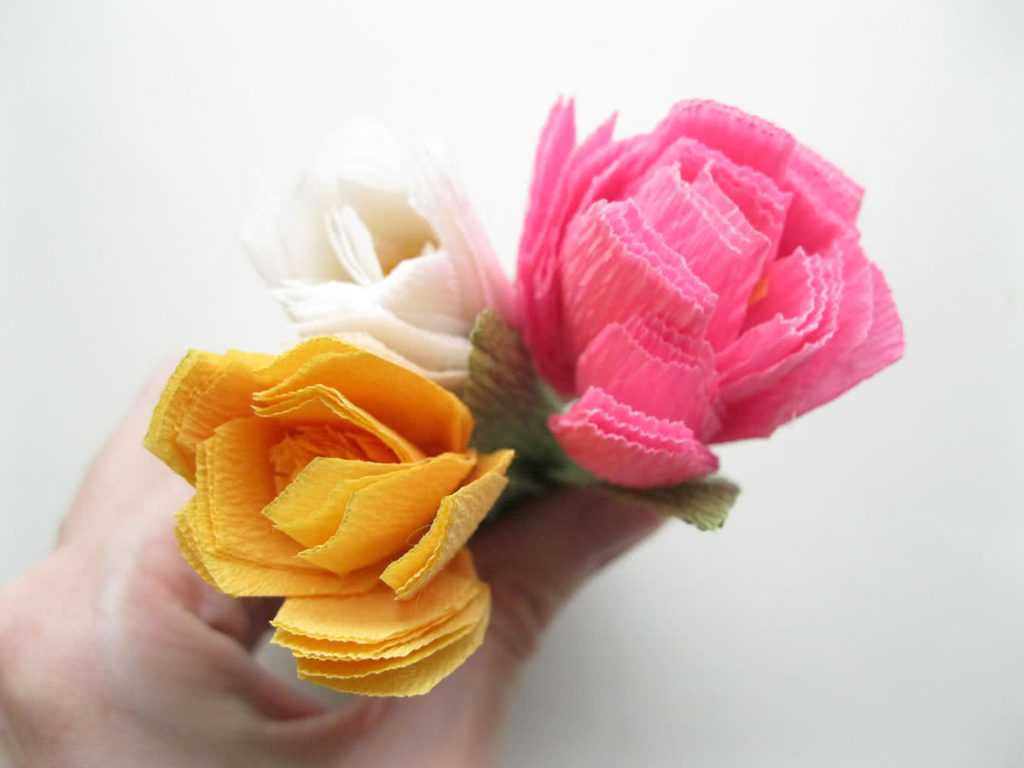 Пионы своими руками: мастер класс как сделать цветок из гофрированной бумаги, фоамирана и изолона | все о рукоделии