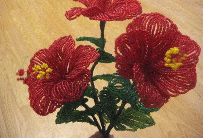 Гибискус из бисера схема плетения с пошаговым. гибискус из бисера: красивый цветок своими руками (видео)