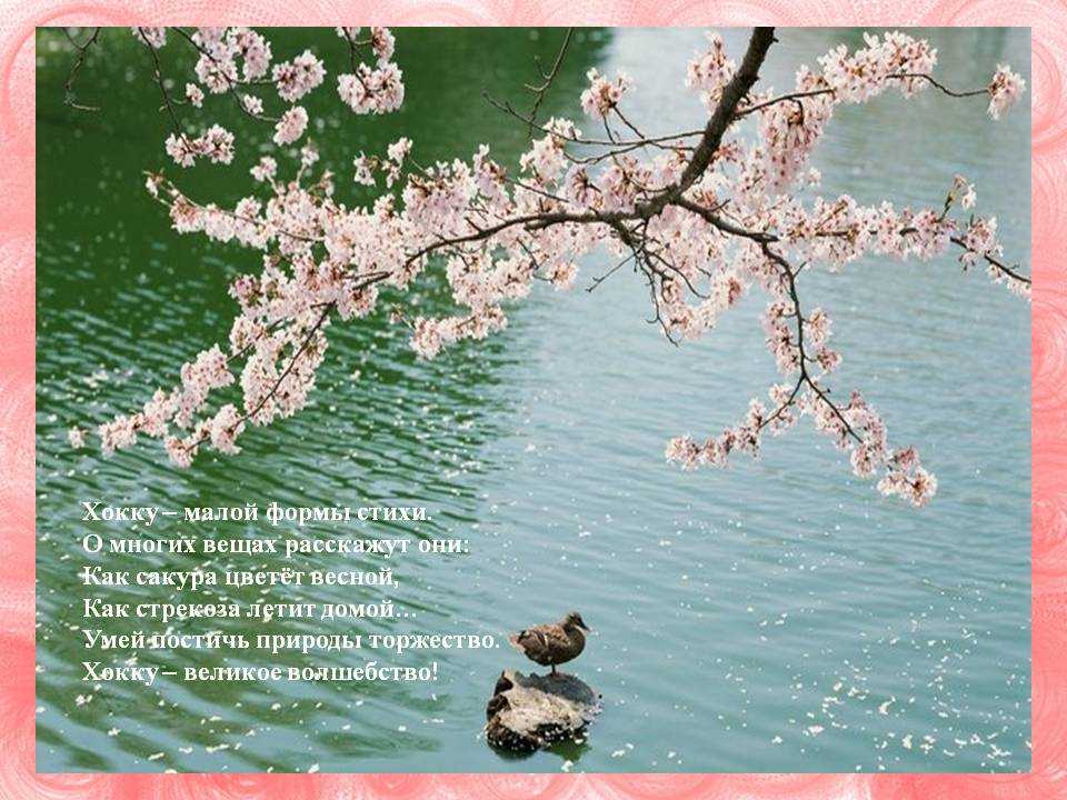 Хокку про сакуру. Хокку про сакуру басё. Японское короткое стихотворение. Японская поэзия о природе. Хайку о весне японские.