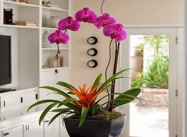 Цветок орхидеи из фома, и как придать структуру листку без молда .м.к. | страна мастеров