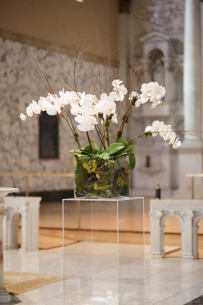 Орхидея из фоамирана. видео урок и мастер-класс с фото