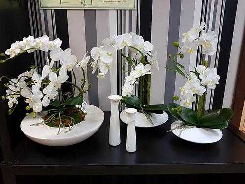 Великолепная орхидея из фоамирана: прекрасное дополнение интерьера