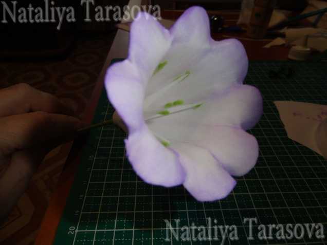 Цветы из фоамирана. пуансетия. видео уроки и мастер-класс с фото