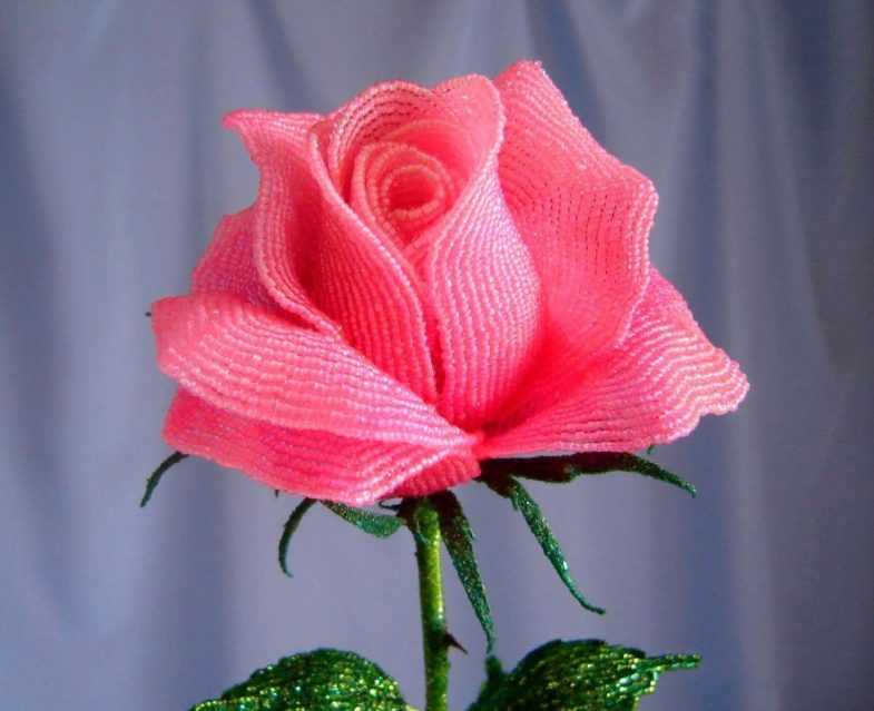 Мастер-класс: розы из бисера. как сделать розу из бисера :: syl.ru