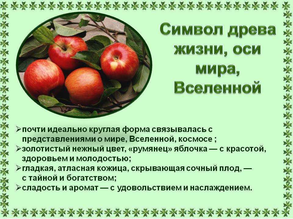 Что означает яблоко. Что символизирует яблоко. Яблоко символ жизни. Что такое символ яблоко в литературе. Символика яблока в литературе.