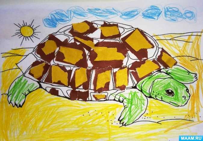 Черепаха своими руками: красивая тортила с фото-подборкой