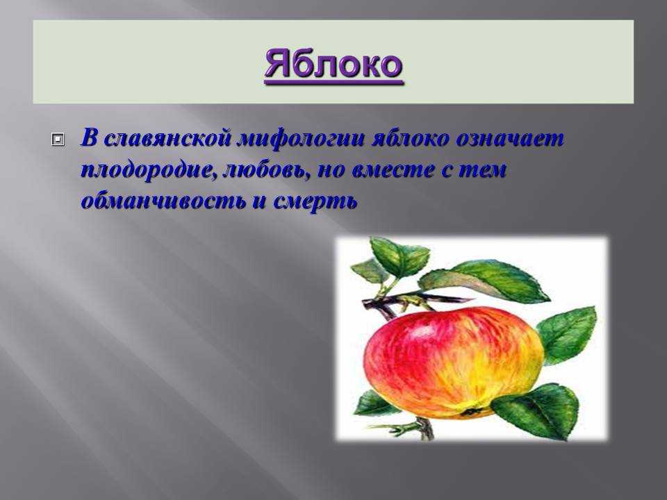 Что означает яблоко. Что символизирует яблоко. Яблоко символика и значение. Значение яблони. Яблоко как символ значение.