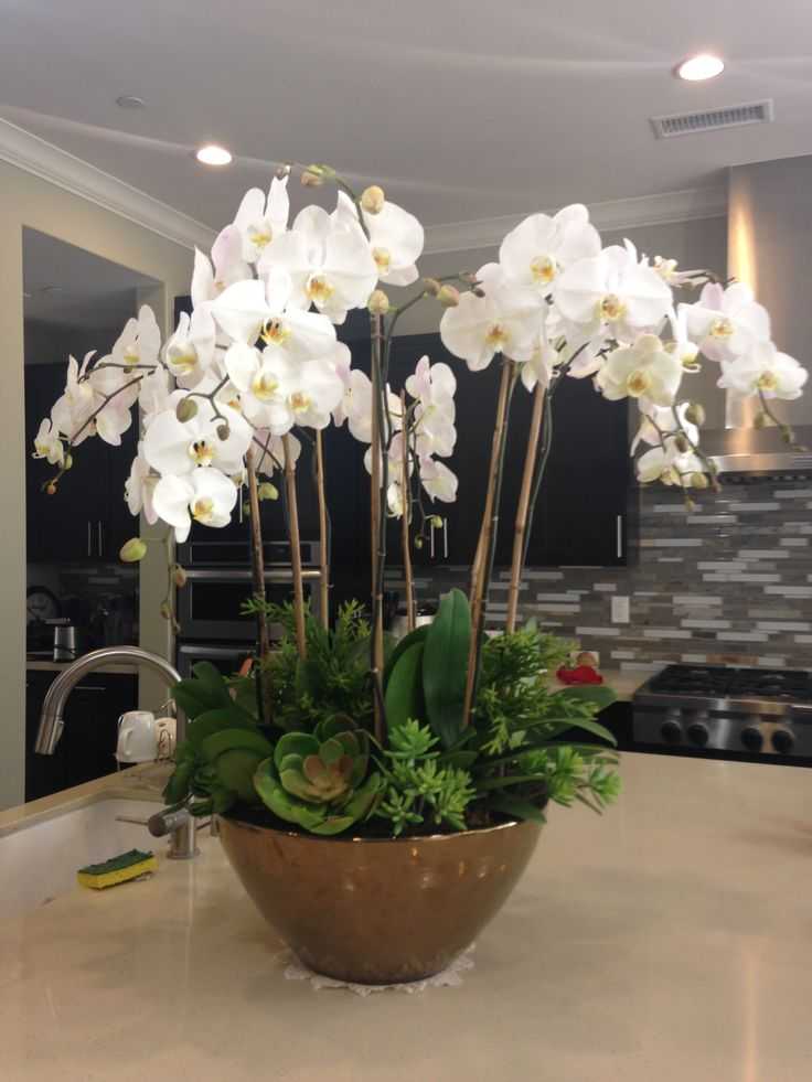 Орхидея из фоамирана - мастер-класс с пошаговым фото + шаблоны
