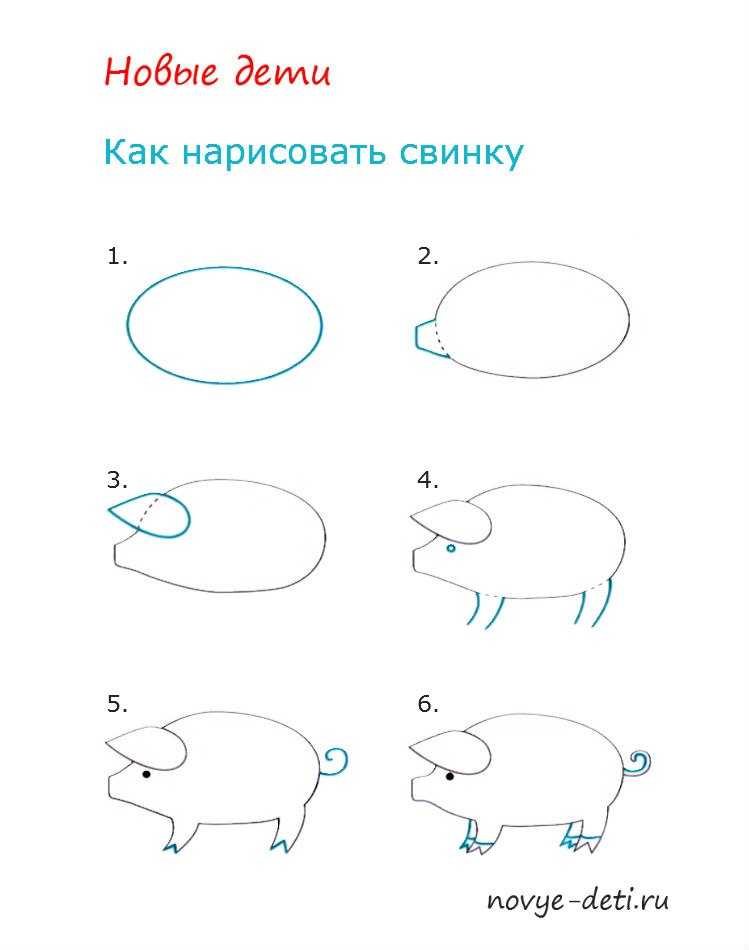 Как нарисовать свинью  поэтапно 9 уроков