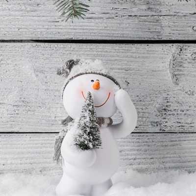 Красивая открытка "новый год": снеговик. 100 лучших идеи с фото