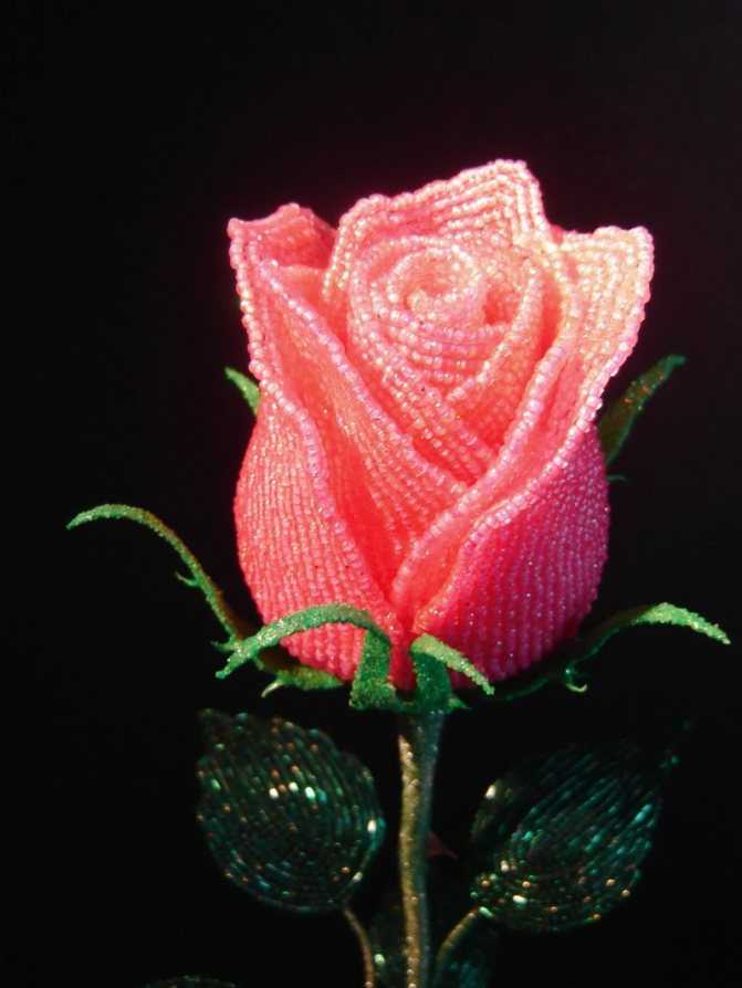 Роза из бисера своими руками: топ лучших мастер-классов для начинающих, пошаговая инструкция и схемы плетения с описанием (110 фото)