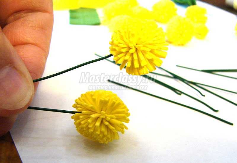 Поделка цветок мимоза своими руками поэтапно: фото лучших идей, схем, шаблонов. учимся делать красивый цветок из бумаги и картона