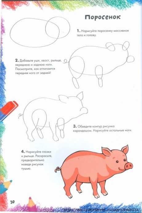 Рисунки поросенка (свиньи) для детей поэтапно карандашом