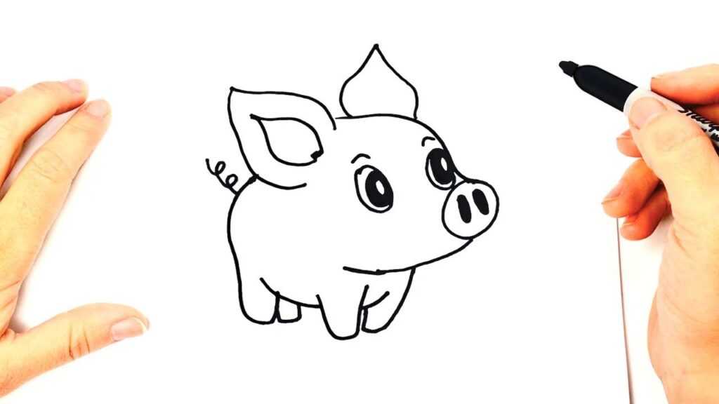 Как нарисовать свинью карандашом - легкие поэтапные мастер-классы для начинающих