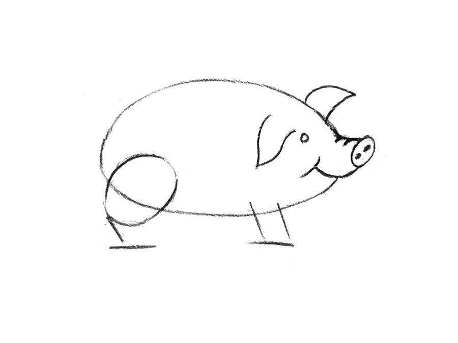 Как легко нарисовать свинку карандашом, своими руками: пошаговая инструкция с фото и описанием для детей