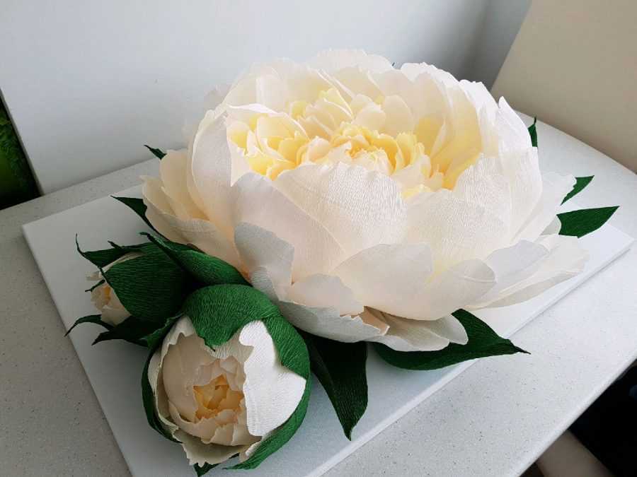 Мк пион розово нежный- цветок как символ любви...