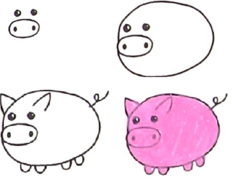Как нарисовать свинью под дубом поэтапно. как нарисовать поросенка: топ - идеи с пошаговыми фото. как нарисовать свинью