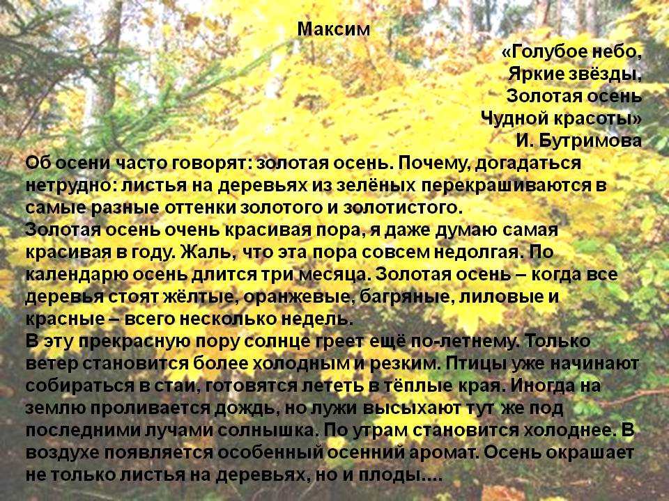 Сочинение на тему «описание осеннего леса. “описание осеннего леса” сочинение описание природы осенью в лесу