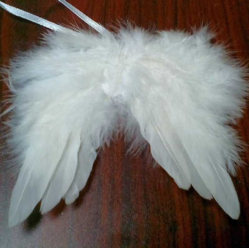 Итак, начнем создавать светящиеся крылья для новогоднего костюма. Основной упор будет акцентирован на крыльях феи, которые будут светиться в прямом смысле этого слова.