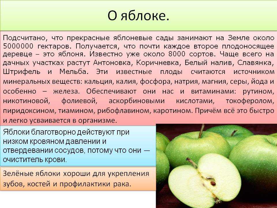 Какую функцию выполняет плод яблони. Сообщение о яблоке. Описание яблока. Яблоко краткое описание. Плод яблоко информация.