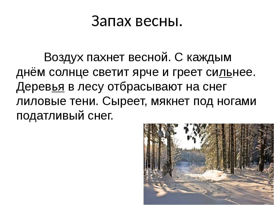 Русский запах снега. Описание весны сочинение. Маленькое сочинение про весну.