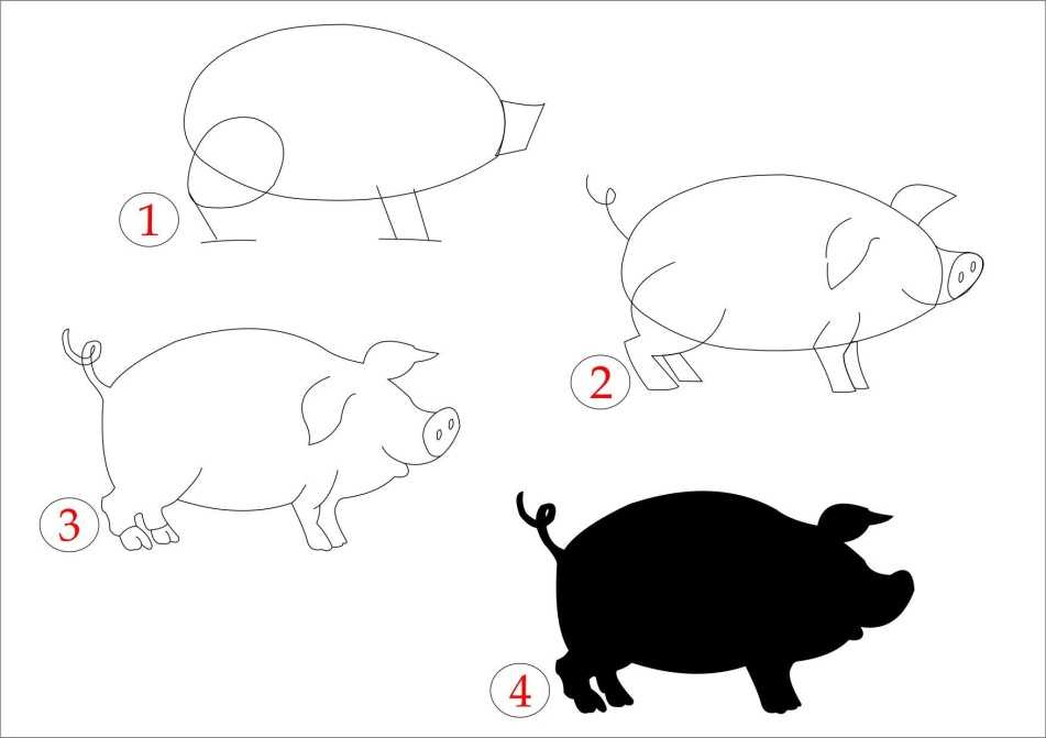 Как нарисовать свинью поэтапно карандашом лёгкими способами