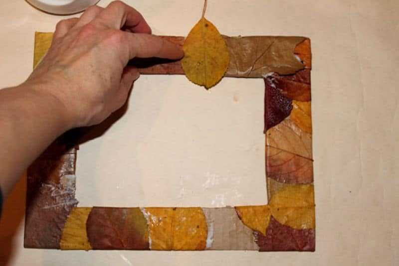 Аппликация из листьев (133 фото): легкие детские поделк по шаблонам на цветной бумаге