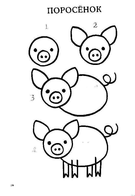 Как нарисовать свинью карандашом поэтапно для начинающих легко